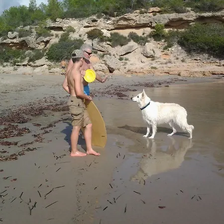 Meier's Сasa de vacaciones *